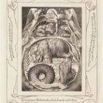 Behemoth and Leviathan