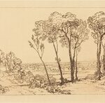 The Bridge in Middle Distance