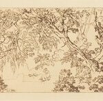 Aesacus and Hesperie