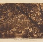 Aesacus and Hesperie